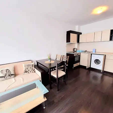 Sunny Dream Family In Appartement *